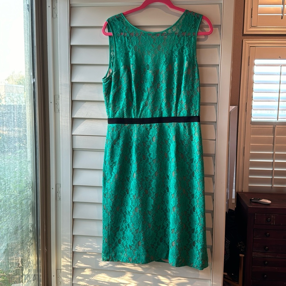 BCBG green lace sheer dress